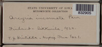 Image Associated With the Occurence